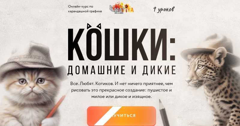 Матита кошки домашние и дикие