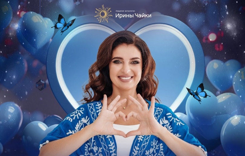 Чайка цена на обучение